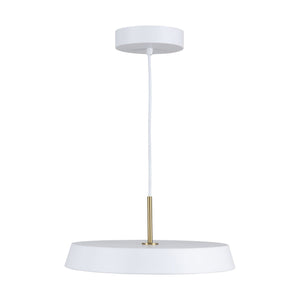 Lexi 1-Light 12" Pendant