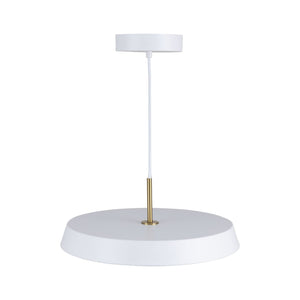 Lexi 1-Light 12" Pendant