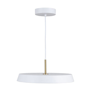 Lexi 1-Light 16" Pendant