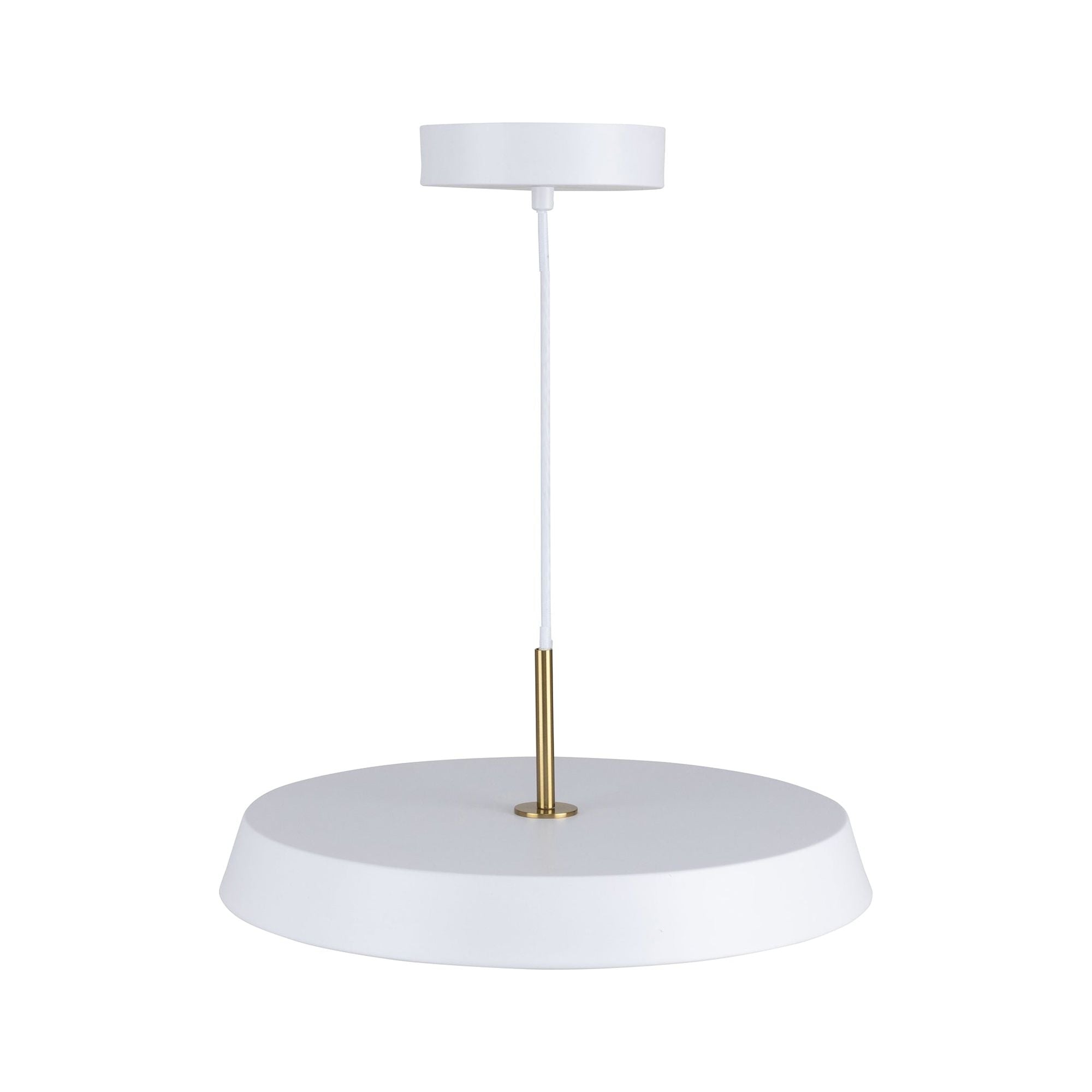 Lexi 1-Light 16" Pendant