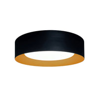 Orsa 1-Light Flush Mount