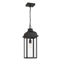 Madrid 1-Light Outdoor Pendant