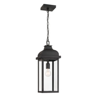 Madrid 1-Light Outdoor Pendant