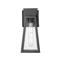 Lucian 1-Light 12" Outdoor Wall Light