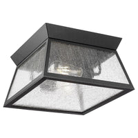Lucian 2-Light Outdoor Flush Mount