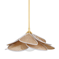Florina 1-Light Pendant