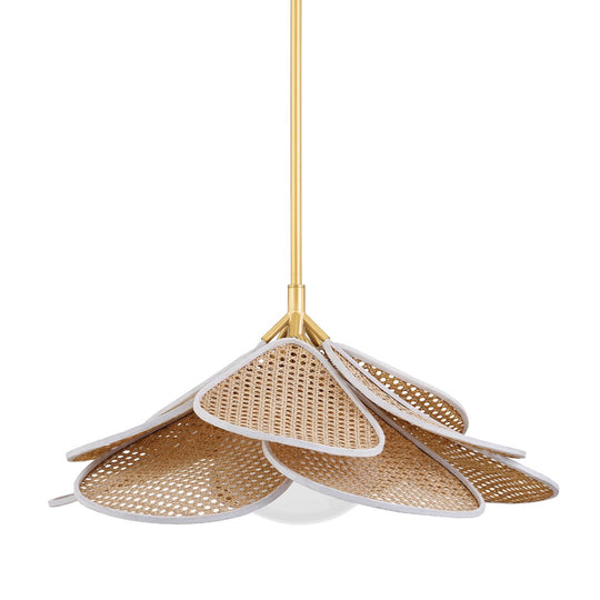 Florina 1-Light Pendant