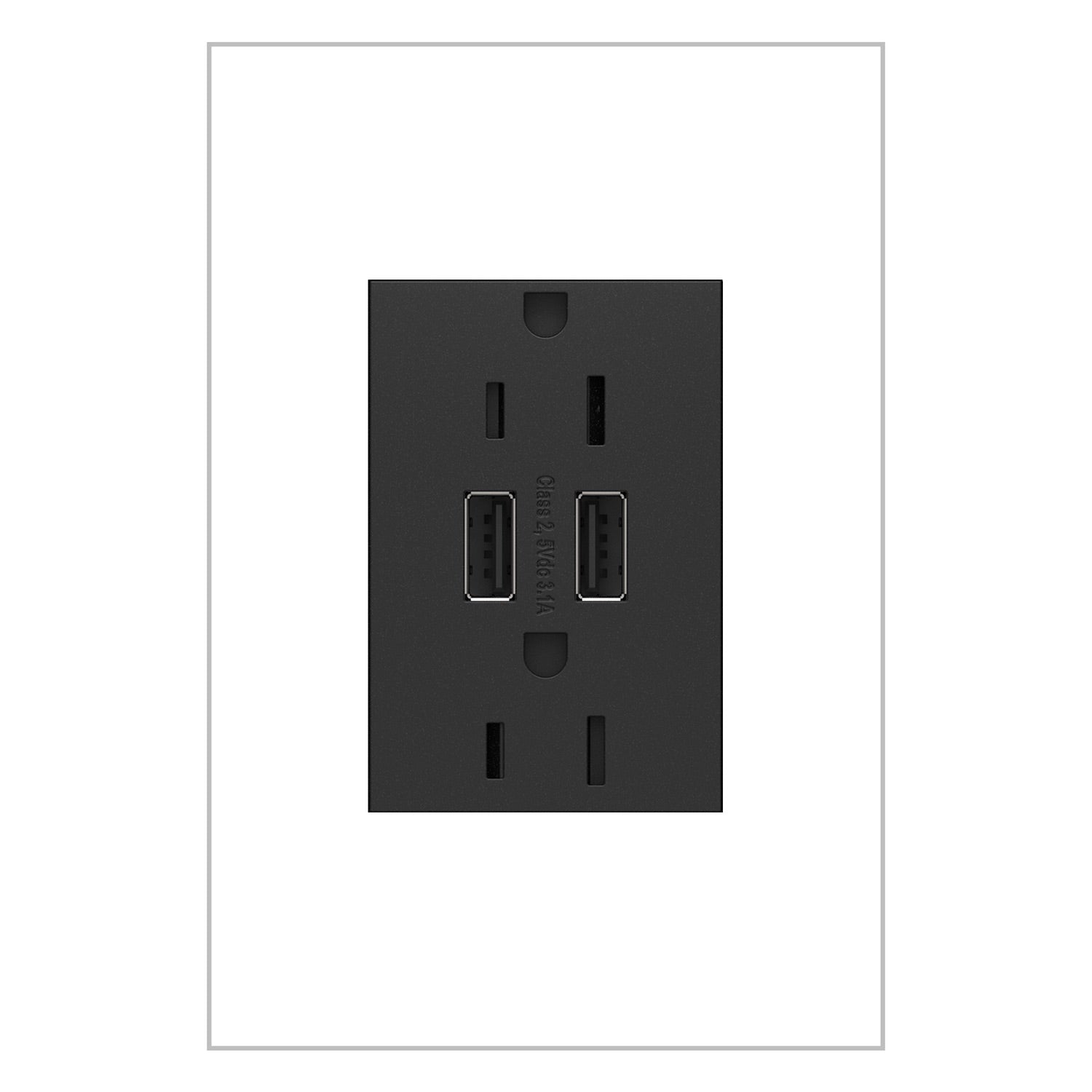 Dual USB Plus-Size Outlet Combo