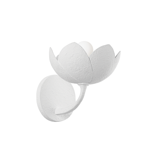 Arcata Wall Sconce