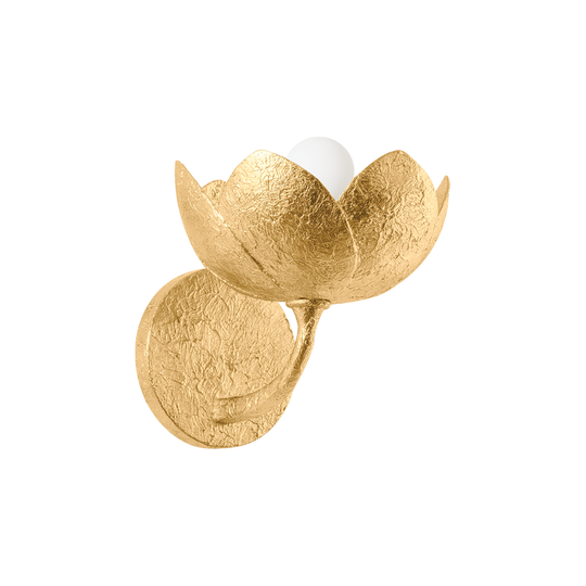 Arcata 1-Light Wall Sconce