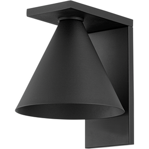 Sean 1-Light Wall Sconce