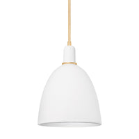 Copake 1-Light Pendant