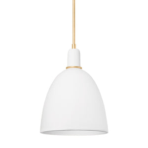 Copake 1-Light Pendant