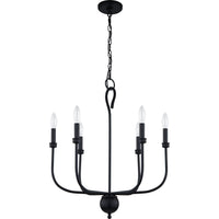 Blanche Chandelier
