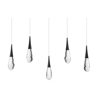 Hibiscus 5-Light Multi-Light Linear Pendant