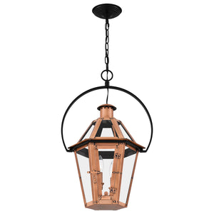 Burdett Outdoor Pendant