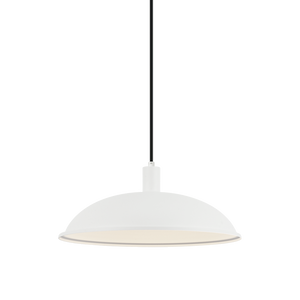 Farmley 1-Light 16" Pendant