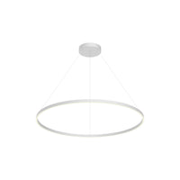 Cerchio 48" LED Pendant