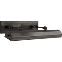 Dorchester 24" Picture Light