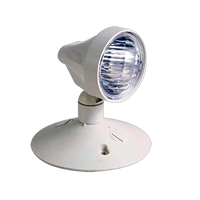 Single Remote Head LED Emergency Light 2W
