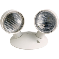 Dual Remote Head Emergency Light 4W (2x 2W)