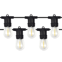 S14 LED String Lights