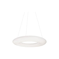 Cumulus 24" LED Pendant