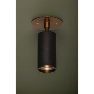 Caleb 1-Light Flush Mount