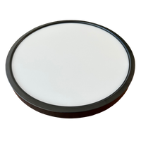 DS 12" LED Flush Mount Downlight 3CCT