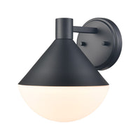 Agawa 1-Light Outdoor Sconce