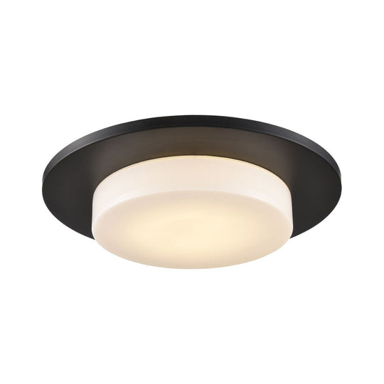 Skimmer 1-Light Flush Mount