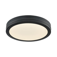 Temagami 12" LED Flush Mount