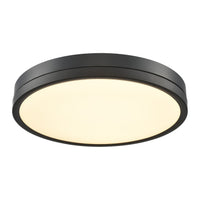 Temagami 20" LED Flush Mount