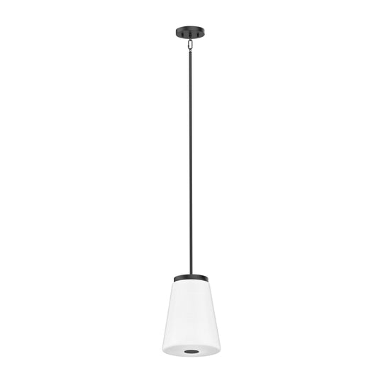 Robson Hall 1-Light Tall Pendant