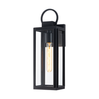Crosby 1-Light Outdoor Wall Light