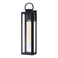 Crosby 1-Light Outdoor Wall Light