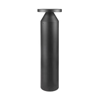 Cremini 1-Light Outdoor Light