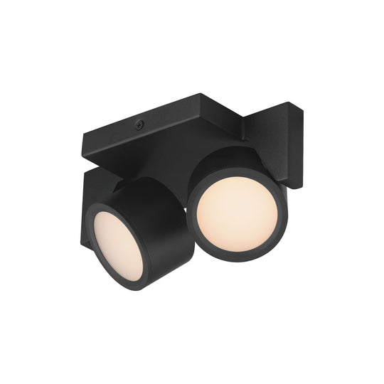 Embrace 2-Light LED Flush
