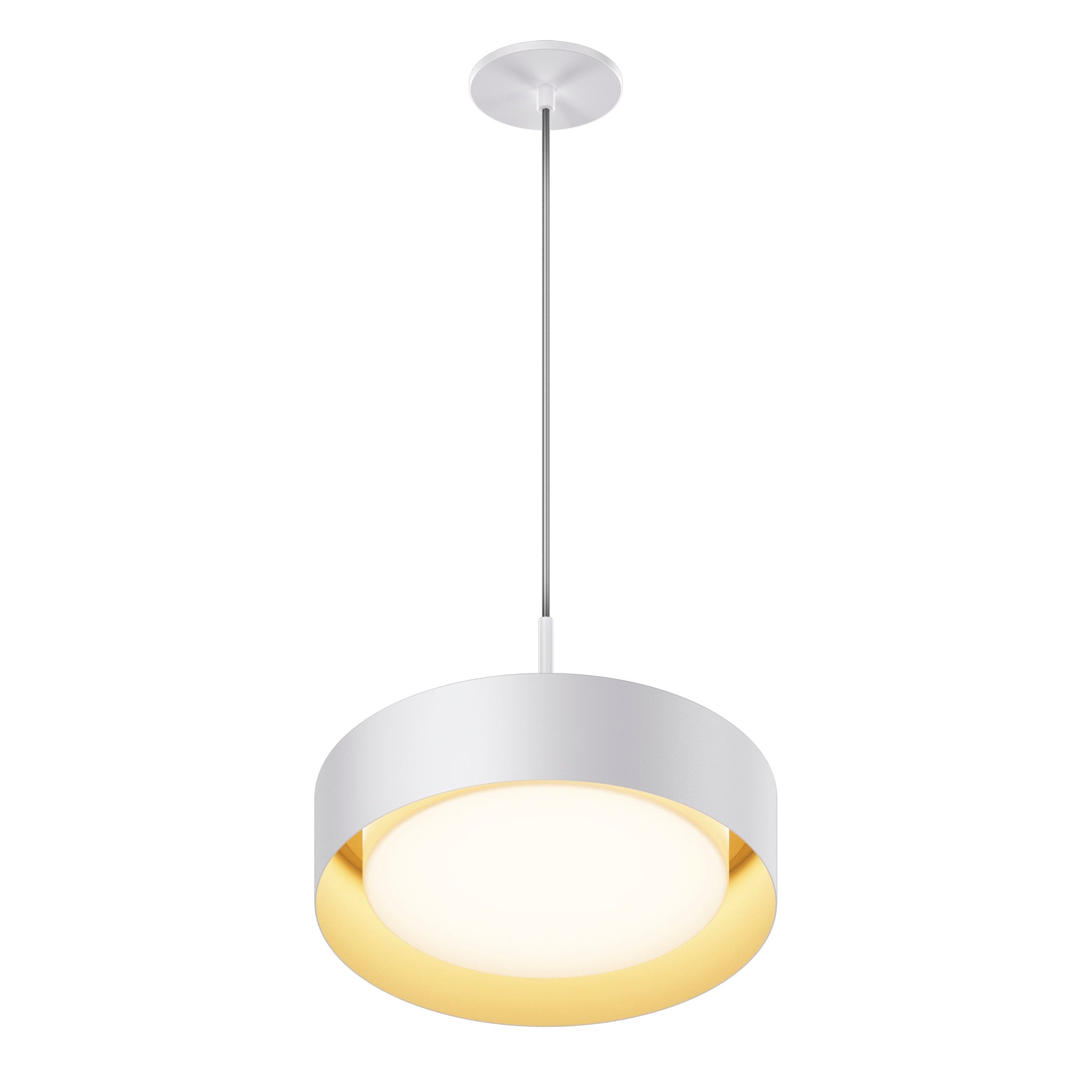 Echo 12" LED Pendant