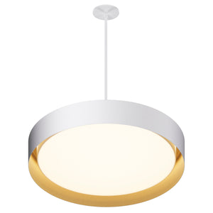 Echo 24" LED Pendant