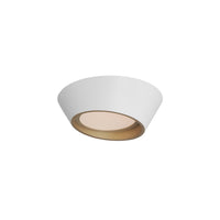 Slant 12" LED Wall Sconce/Flush Mount
