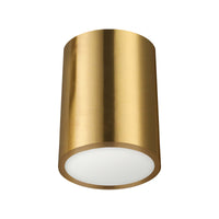 Echo 12W Flush Mount