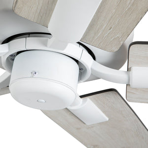 Erikson 52" 65W Ceiling Fan