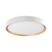 Essex 20" LED Flush Mount