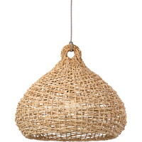 Lechlan 1-Light Pendant