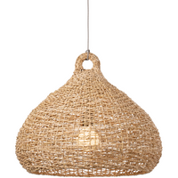 Lechlan 1-Light Pendant