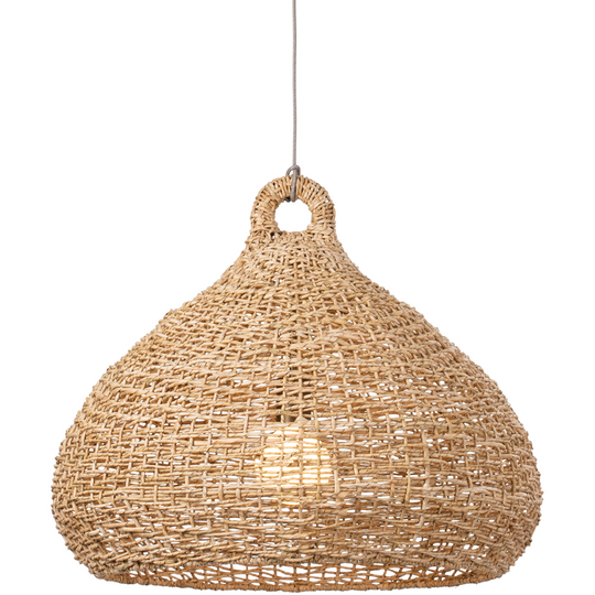 Lechlan 1-Light Pendant