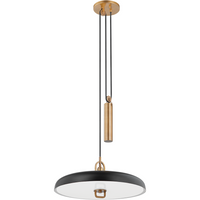 Plummet 1-Light Pendant