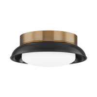 Arnie 2-Light Flush Mount