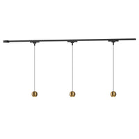 Faria 38" LED Trilo Ceiling Kit